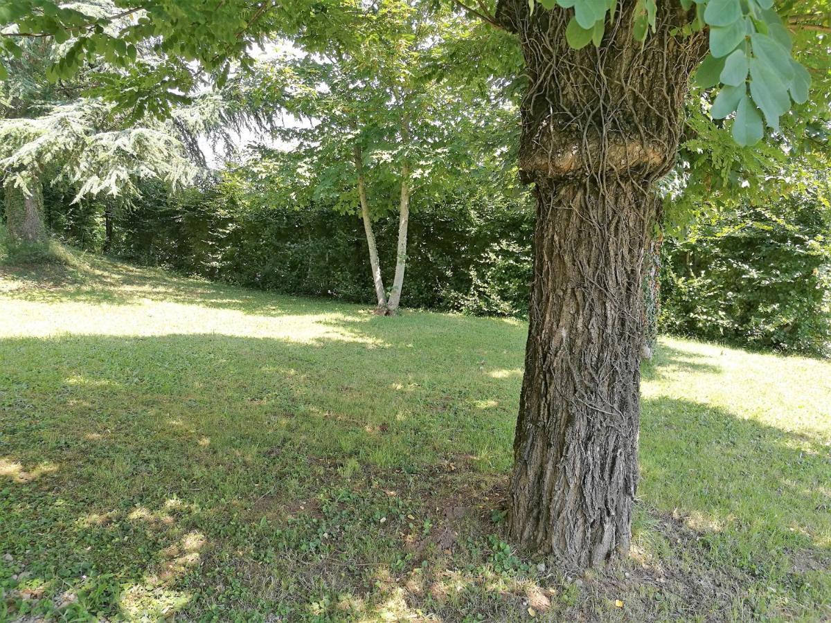Douceur En Campagne Appartamento Espalion Esterno foto
